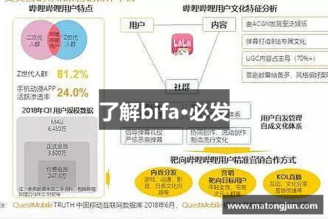 了解bifa·必发